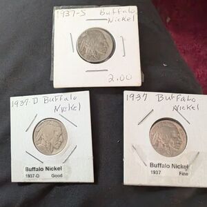 Buffalo Nickel Coin Collection